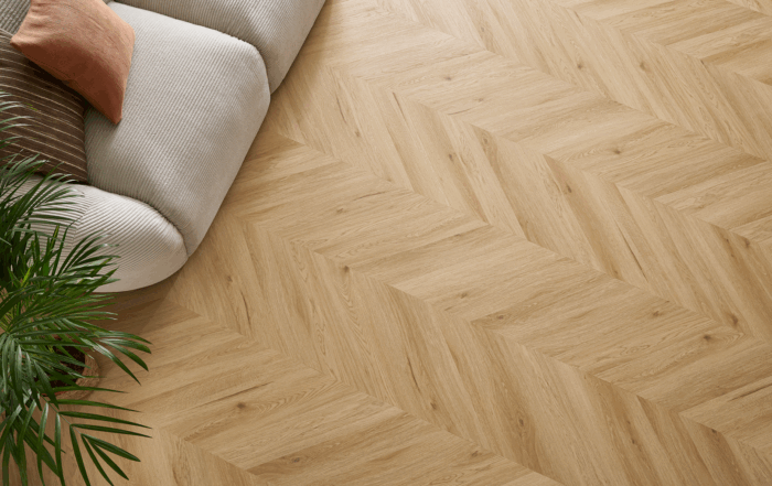 A6409 HBCH_rovere giudecca_05